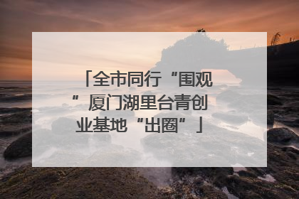 全市同行“围观”厦门湖里台青创业基地“出圈”