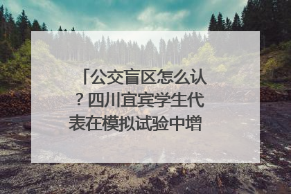 公交盲区怎么认？四川宜宾学生代表在模拟试验中增强乘车安全意识