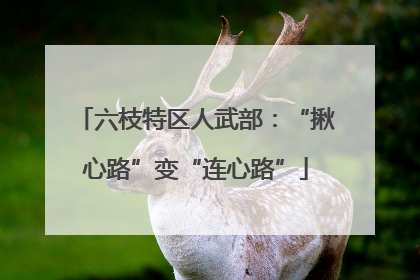 六枝特区人武部：“揪心路”变“连心路”