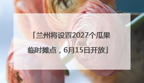兰州将设置2027个瓜果临时摊点，6月15日开放