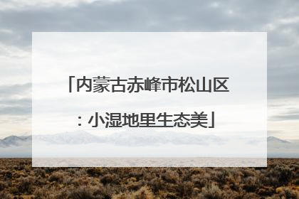 内蒙古赤峰市松山区：小湿地里生态美