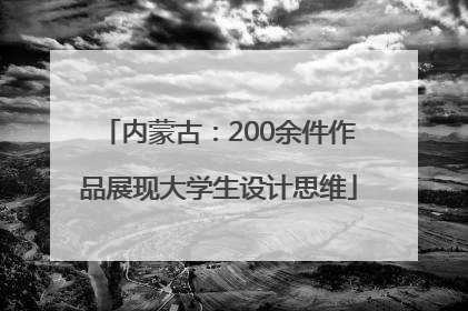 内蒙古：200余件作品展现大学生设计思维
