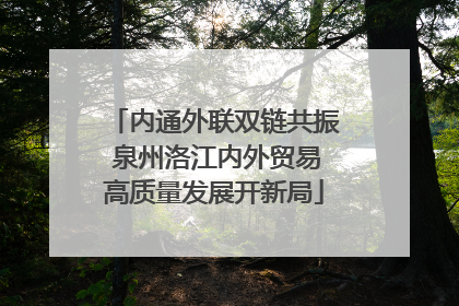内通外联双链共振 泉州洛江内外贸易高质量发展开新局
