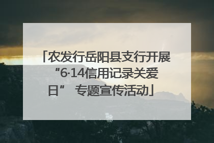 农发行岳阳县支行开展“6·14信用记录关爱日” 专题宣传活动
