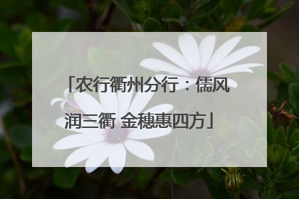 农行衢州分行：儒风润三衢 金穗惠四方