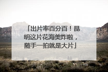 出片率百分百！昆明这片花海美炸啦，随手一拍就是大片