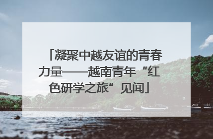 凝聚中越友谊的青春力量——越南青年“红色研学之旅”见闻
