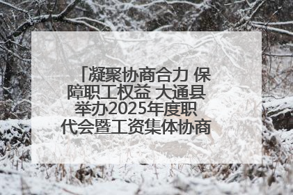 凝聚协商合力 保障职工权益 大通县举办2025年度职代会暨工资集体协商现场观摩交流活动
