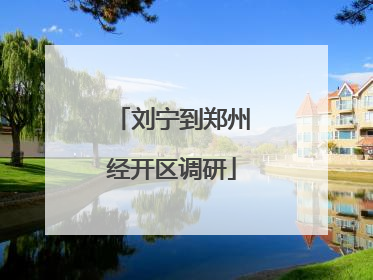 刘宁到郑州经开区调研