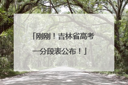 刚刚！吉林省高考一分段表公布！