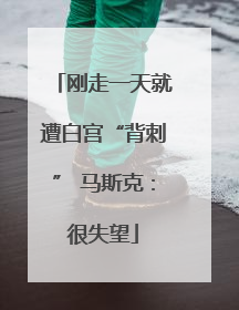 刚走一天就遭白宫“背刺” 马斯克：很失望