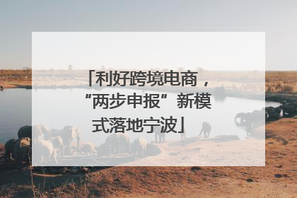 利好跨境电商，“两步申报”新模式落地宁波