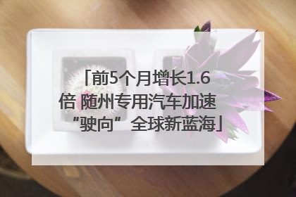 前5个月增长1.6倍 随州专用汽车加速“驶向”全球新蓝海