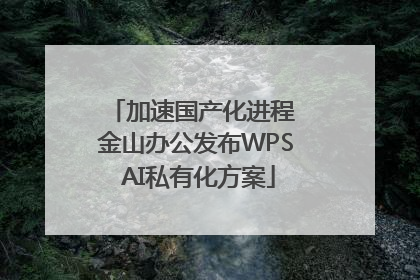 加速国产化进程 金山办公发布WPS AI私有化方案