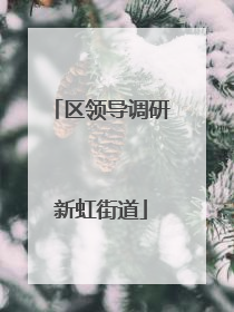 区领导调研新虹街道