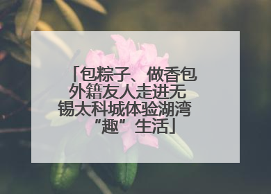 包粽子、做香包 外籍友人走进无锡太科城体验湖湾“趣”生活
