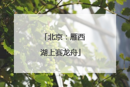 北京：雁西湖上赛龙舟
