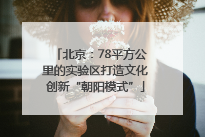 北京：78平方公里的实验区打造文化创新“朝阳模式”