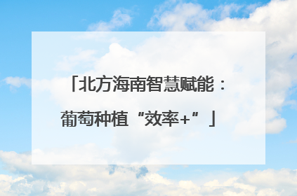 北方海南智慧赋能：葡萄种植“效率+”