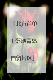 北方首单！落地青岛自贸片区