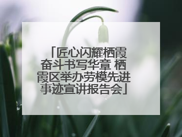 匠心闪耀栖霞 奋斗书写华章 栖霞区举办劳模先进事迹宣讲报告会