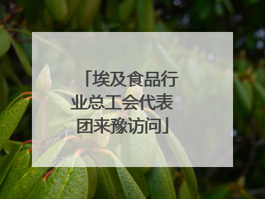 埃及食品行业总工会代表团来豫访问