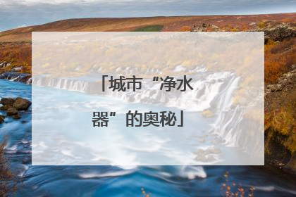 城市“净水器”的奥秘