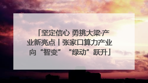 坚定信心 勇挑大梁·产业新亮点丨张家口算力产业向“智变”“绿动”跃升