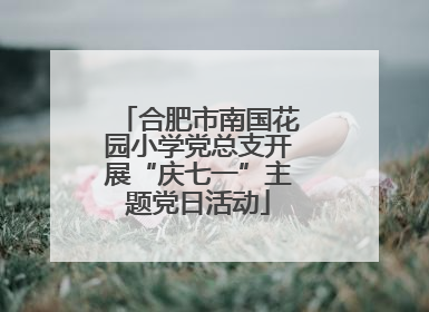 合肥市南国花园小学党总支开展“庆七一”主题党日活动