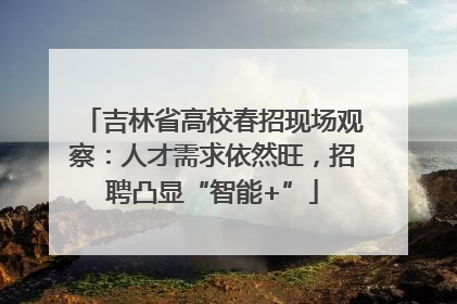吉林省高校春招现场观察：人才需求依然旺，招聘凸显“智能+”