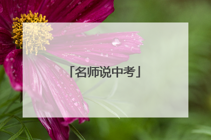 名师说中考