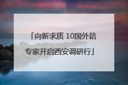 向新求质 10国外籍专家开启西安调研行