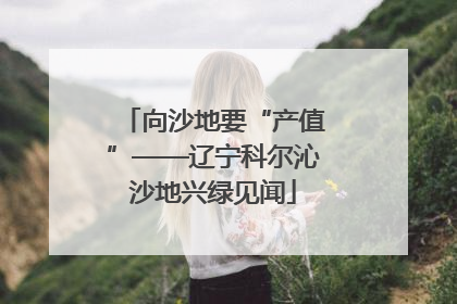 向沙地要“产值”——辽宁科尔沁沙地兴绿见闻