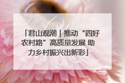 君山观潮｜推动“四好农村路”高质量发展 助力乡村振兴出新彩
