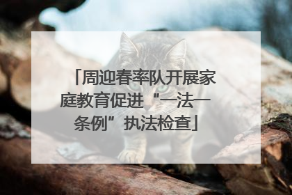 周迎春率队开展家庭教育促进“一法一条例”执法检查