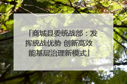 商城县委统战部：发挥统战优势 创新高效能基层治理新模式