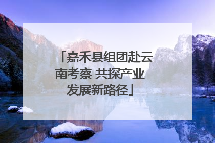 嘉禾县组团赴云南考察 共探产业发展新路径
