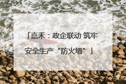 嘉禾：政企联动 筑牢安全生产“防火墙”