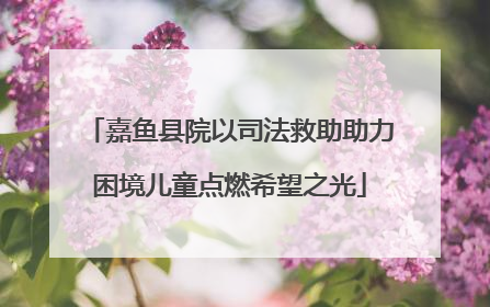 嘉鱼县院以司法救助助力困境儿童点燃希望之光