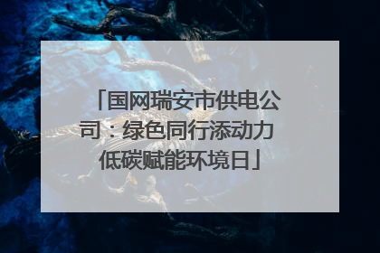国网瑞安市供电公司：绿色同行添动力 低碳赋能环境日