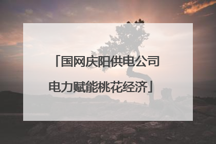 国网庆阳供电公司电力赋能桃花经济