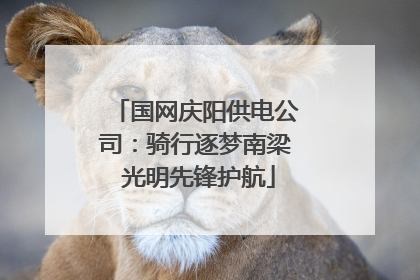 国网庆阳供电公司：骑行逐梦南梁 光明先锋护航