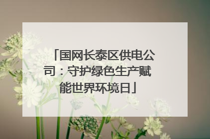 国网长泰区供电公司：守护绿色生产赋能世界环境日