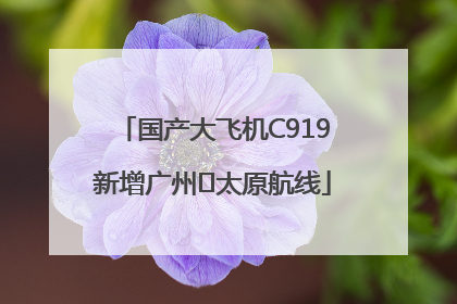 国产大飞机C919新增广州⇌太原航线