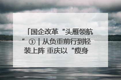 国企改革“头雁领航”③｜从负重前行到轻装上阵 重庆以“瘦身”谋“健体”
