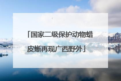 国家二级保护动物蜡皮蜥再现广西野外