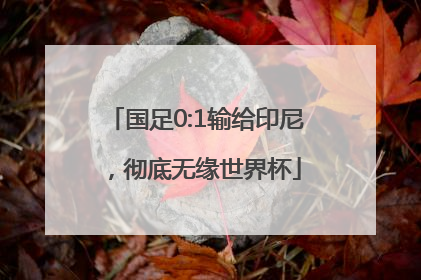 国足0:1输给印尼，彻底无缘世界杯