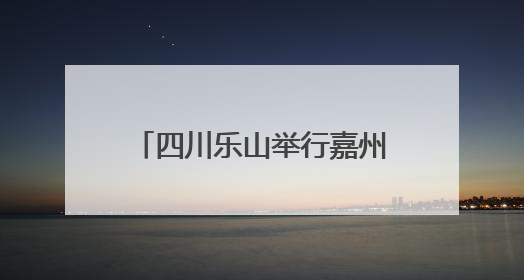 四川乐山举行嘉州铁腕 厉禁共治——“嘉网工程”禁毒社会化工作暨毒品集中销毁启动仪式