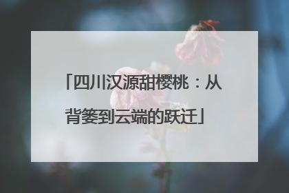 四川汉源甜樱桃：从背篓到云端的跃迁