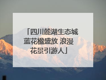 四川麓湖生态城蓝花楹盛放 浪漫花景引游人